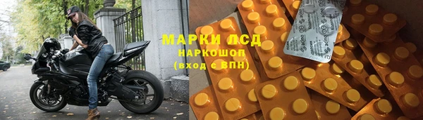 гашик Семилуки