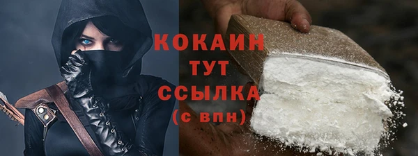 гашик Семилуки