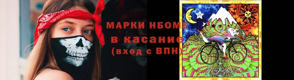 гашик Семилуки