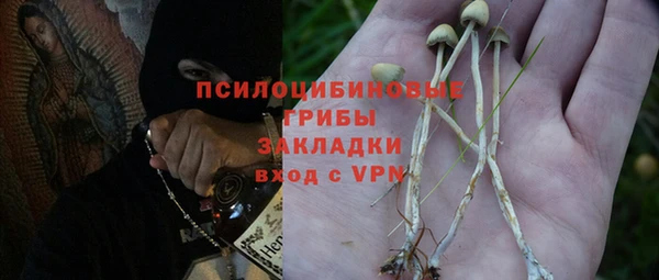 гашик Семилуки