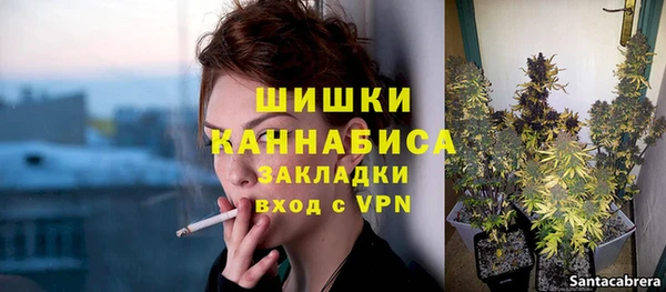 гашик Семилуки