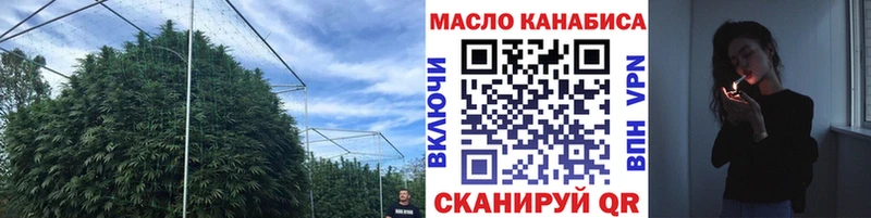 Дистиллят ТГК гашишное масло OMG вход Сольцы