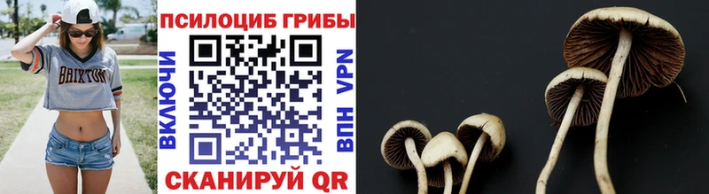 Псилоцибиновые грибы мухоморы  Сольцы 
