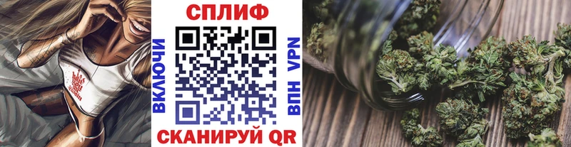 Шишки марихуана семена Сольцы